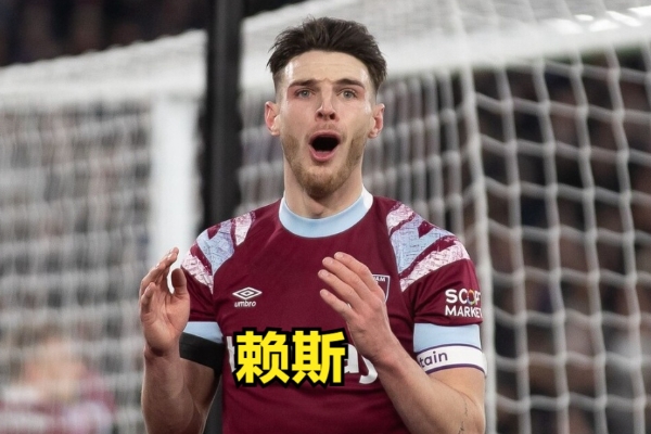 賴(lài)斯屬于什么是類(lèi)型的后腰？